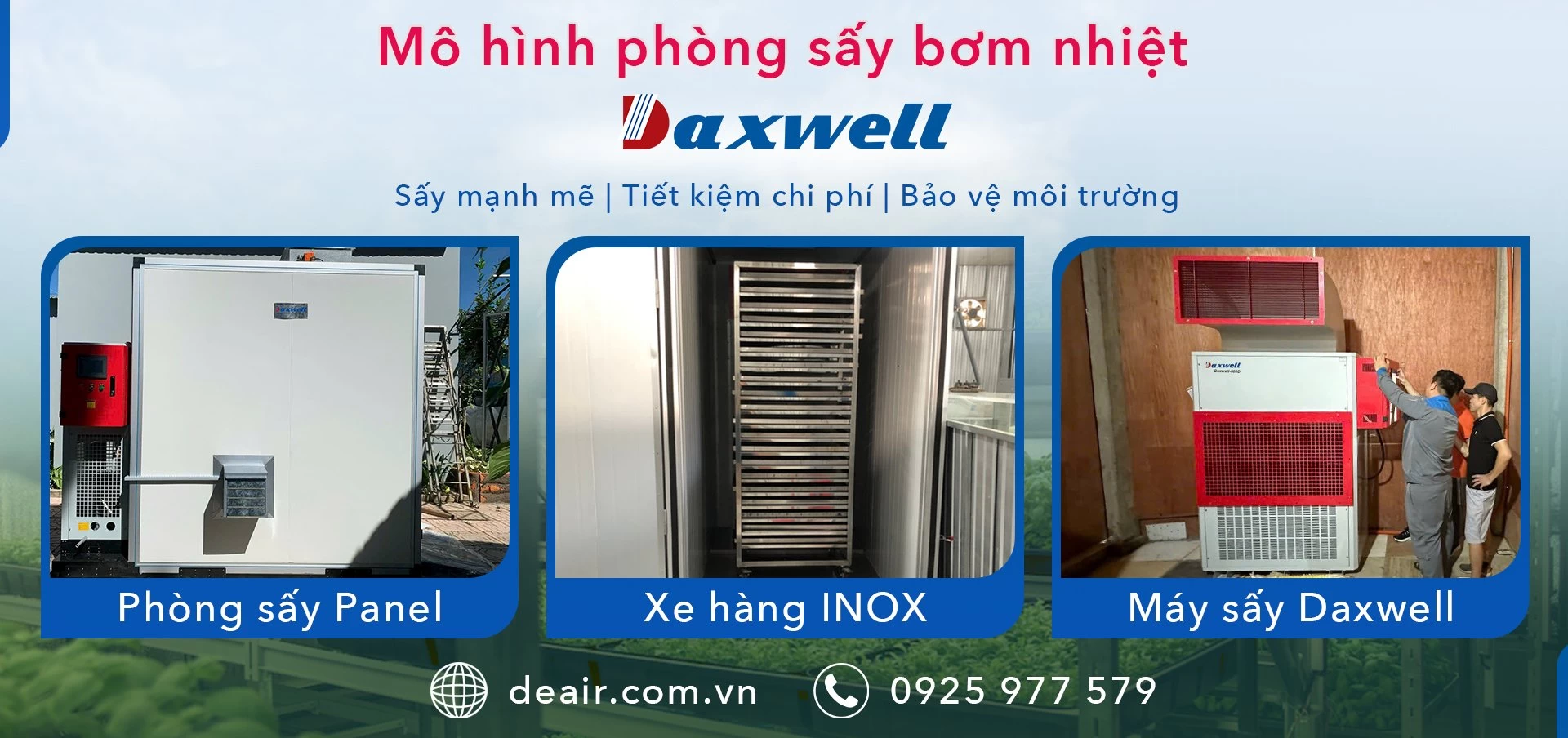 Banner chính