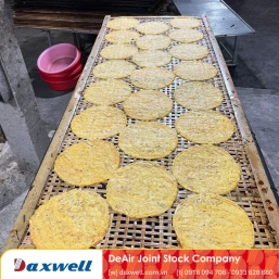 Best Industrial Banana Dryer: Secrets to Honey-Golden Color | Daxwell