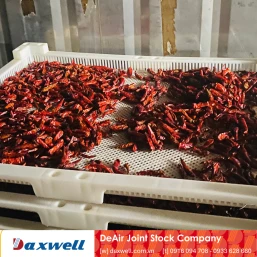 Từ ớt tươi ra ớt khô xuất khẩu: Quy trình chuẩn với máy sấy Daxwell